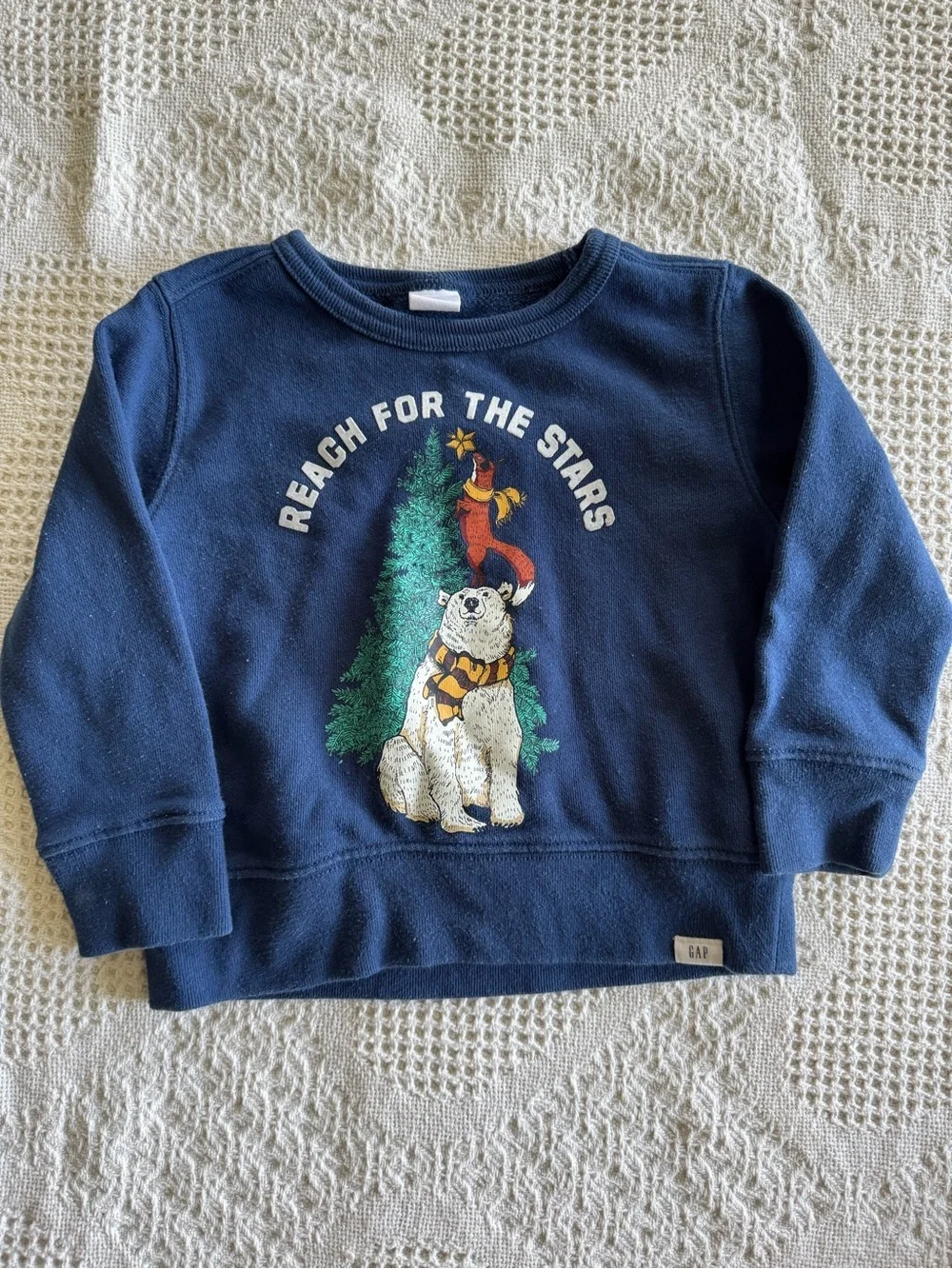 GAP Crewneck 2T